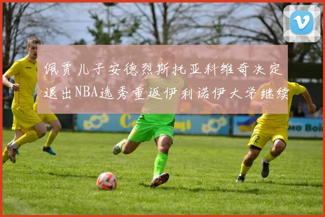 佩贾儿子安德烈斯托亚科维奇决定退出NBA选秀重返伊利诺伊大学继续学业