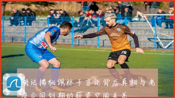 湖记揭秘佩林卡言论背后真相与老詹合同到期的薪资空间关系