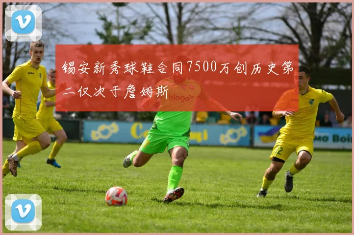 锡安新秀球鞋合同7500万创历史第二仅次于詹姆斯