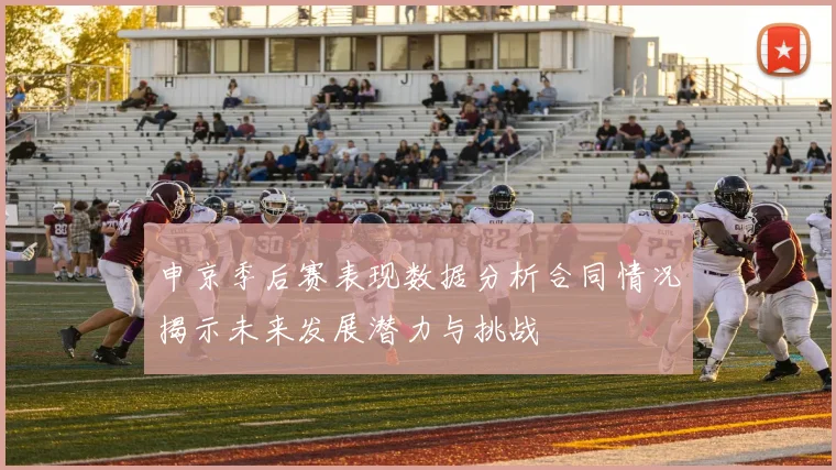 申京季后赛表现数据分析合同情况揭示未来发展潜力与挑战